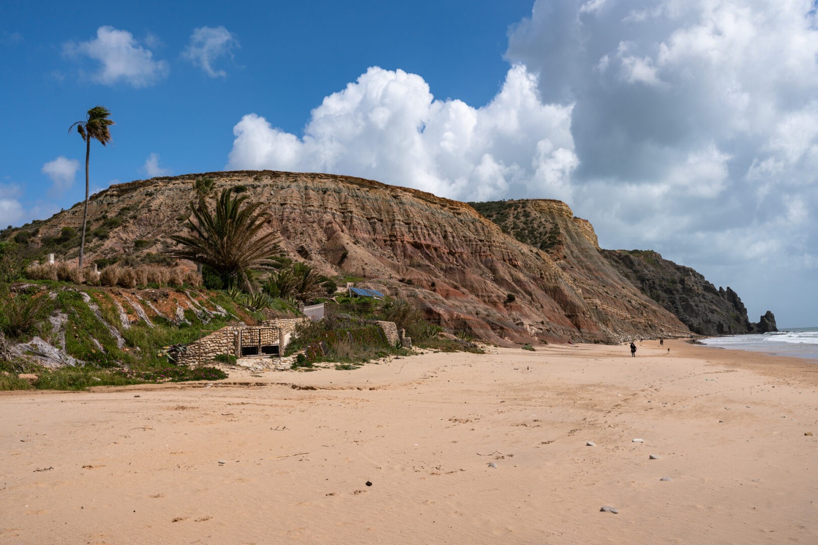 20250322-_25A2011-Pano