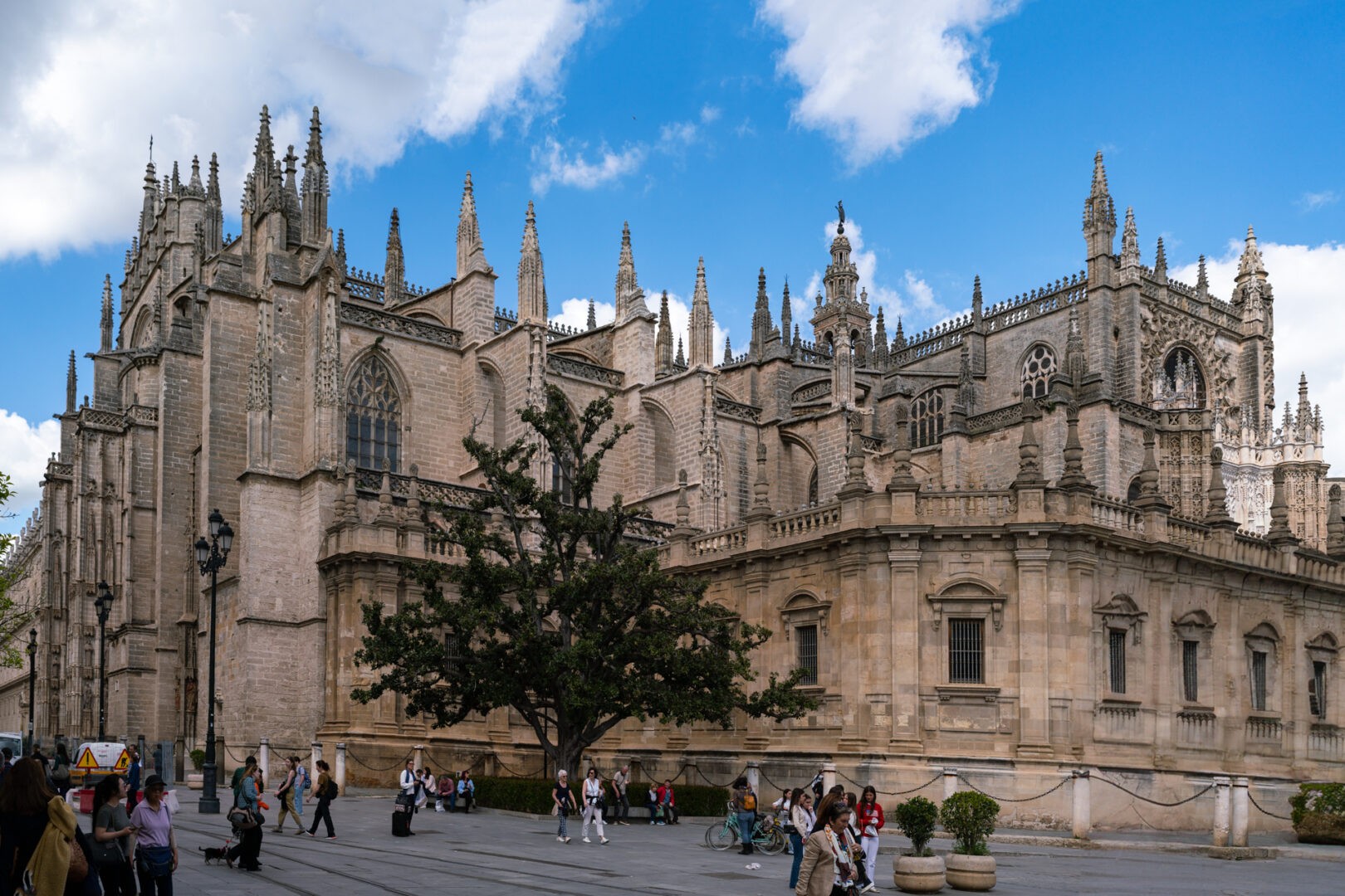 20250327-_25A2506-Pano