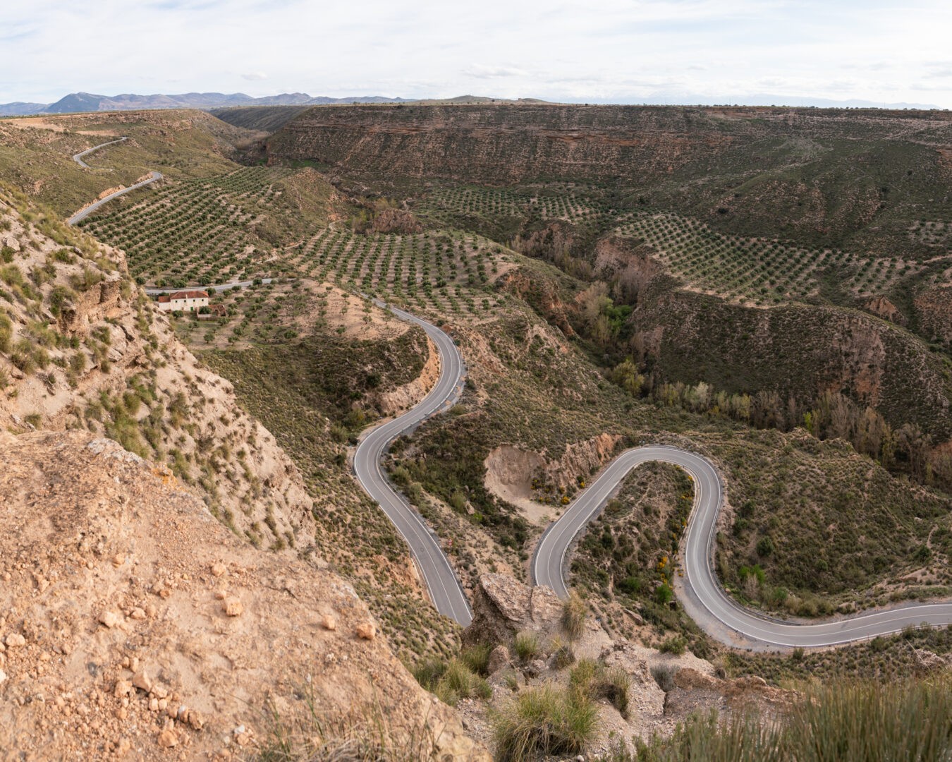 20250405-_25A3464-Pano